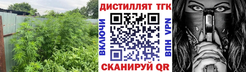 Дистиллят ТГК вейп с тгк  Пудож 