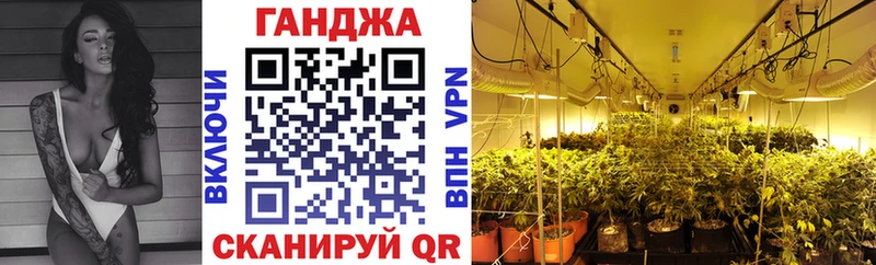 kraken зеркало  закладки  Пудож  нарко площадка какой сайт  Шишки марихуана MAZAR 